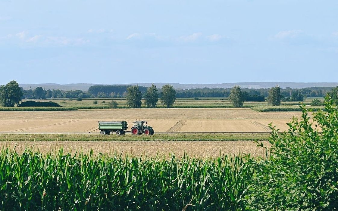 Rustikalni kruh od integralnog zrna s peckavom korom